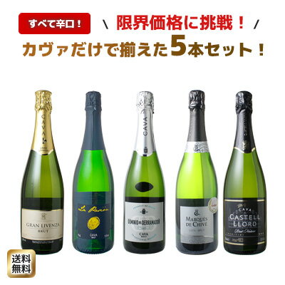 【送料無料】ワインセット カヴァ 5本 セット 辛口 シャンパン製法 瓶内二次発酵 スパークリングワイン カヴァだけ ワイン カヴァセット ギフト プレゼント 御祝 ソムリエ厳選 カバ 飲み比べセットスペイン cava wine ドライ 第67弾【Pup】
