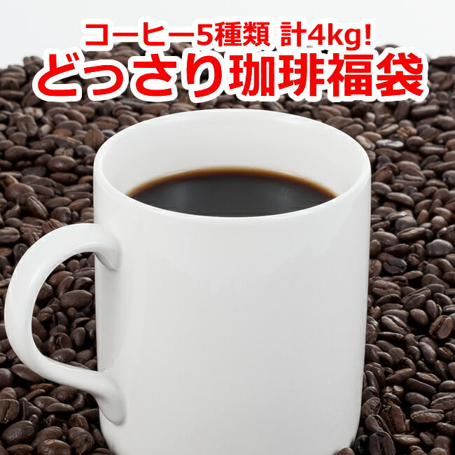 【どっさり福袋5種類！合計4kg】【6/3価格改定】レギュラーコーヒー コーヒー豆 お試し 送料無料 珈琲豆 福袋 ギフト 贈り物 プレゼント 自宅用 粉 中挽き 粗挽き 細挽き 極細挽き