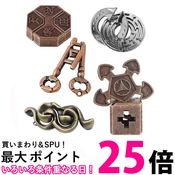 知恵の輪 大人 パズル 5個セット 高難易度 メタルパズル 大人も子供も楽しめる 知育玩具 謎解き 立体パズル ギフト プレゼント (管理S) 送料無料 【SK08652】