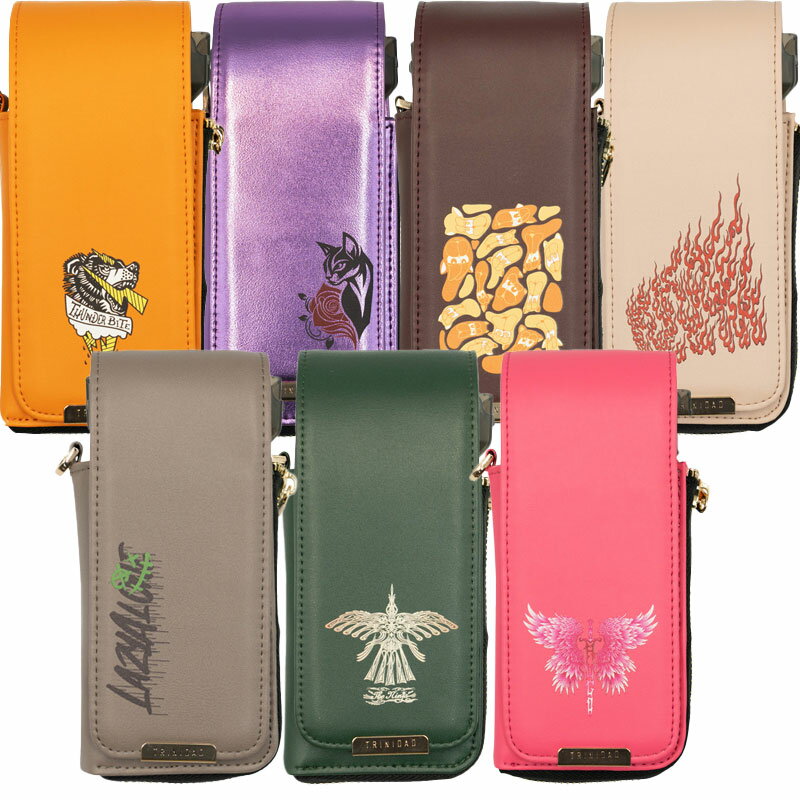 トリニダード プレーンスマート ニュー TRiNiDAD Darts Case PLAIN Smart NEW WAEN ダーツケース