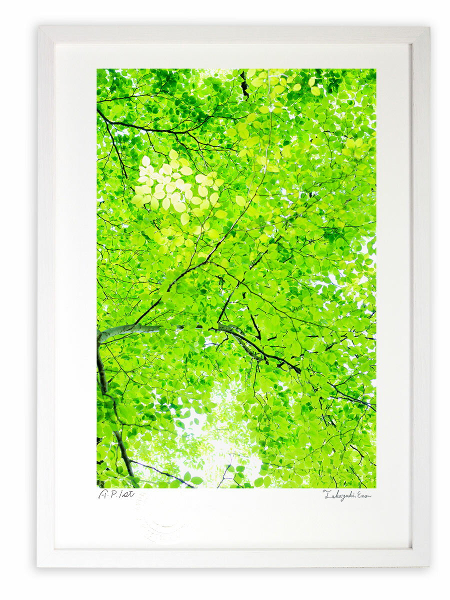 版画 絵画 こもれびのスポットライト(縦)/アートフォト インテリア 額入り 額装込 風景画 油絵 ポスター アート アートパネル リビング 玄関 プレゼント モダン アートフレーム 飾る おしゃれ 壁掛け 絵