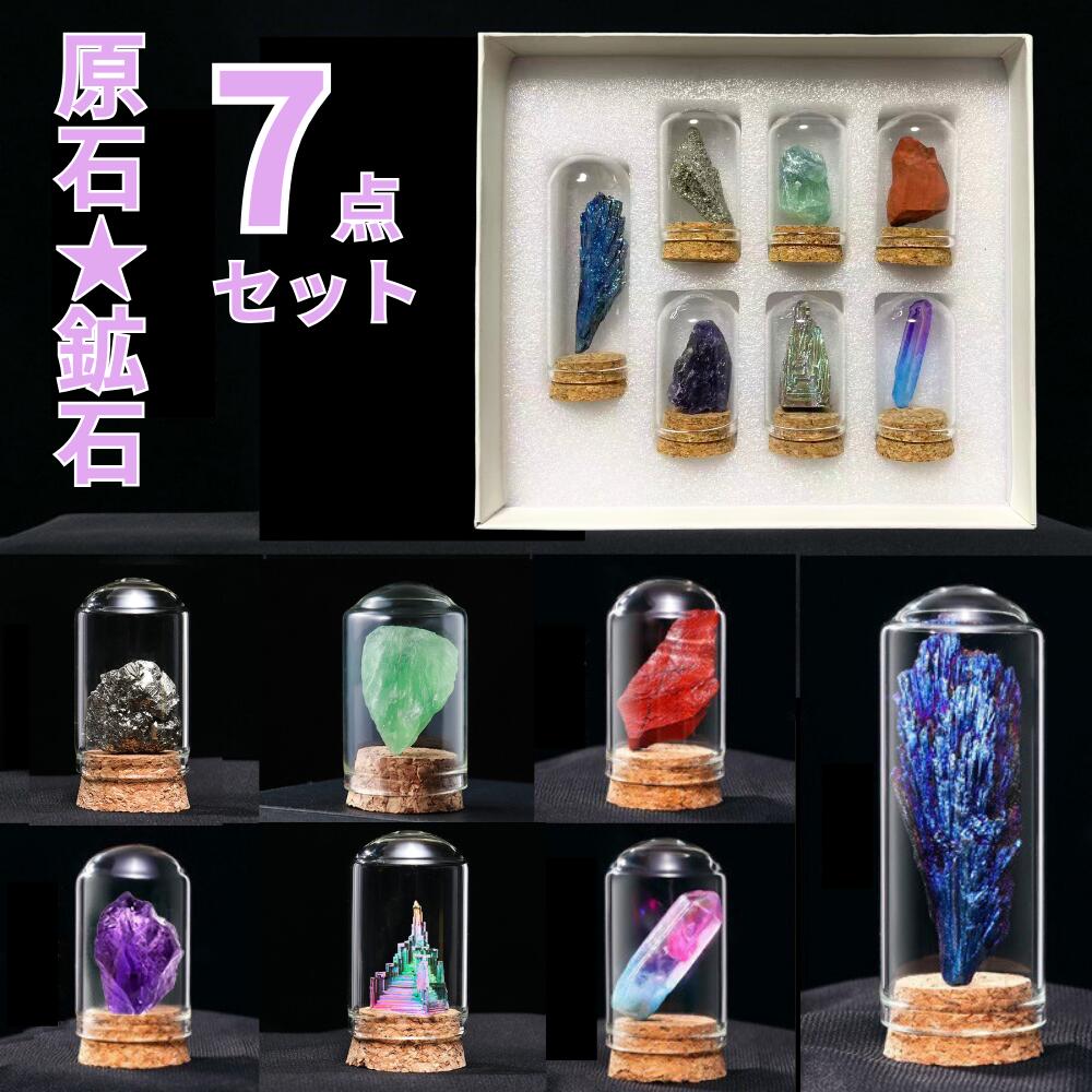 ＼まもなく終了！最大20%OFF!／ 原石 岩石標本 天然石 7点セット 鉱物 鉱石 標本 化石 置物 ガラスカバー 瓶 防塵 置物 オーナメント 展示 標本ボックス コレクション 地質科学 装飾品 アメジスト 小物 子供 プレゼント 人気
