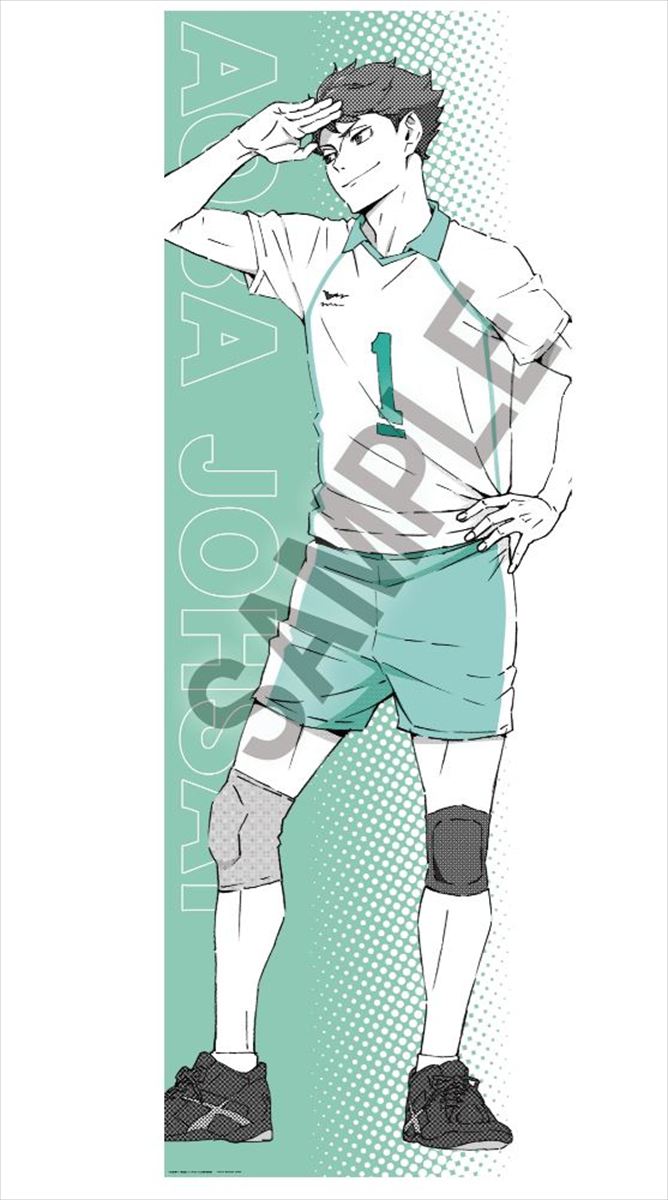 ハイキュー！！ ポートレートシリーズBIGファブリックポスター 及川 徹