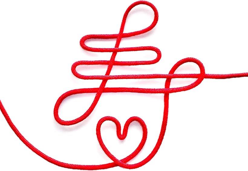 赤い糸 寿 20cm フォト パーティー ウエディング ブライダル 結婚式 披露宴 (ワンサイズ)