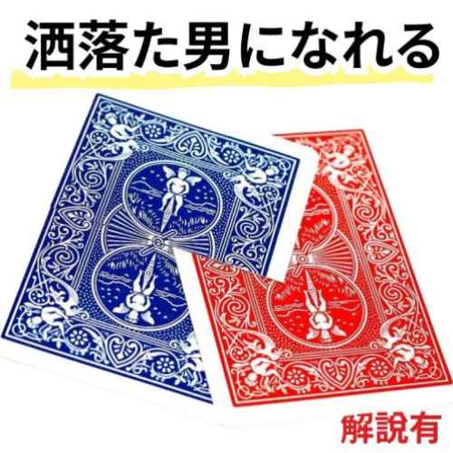 【手品 マジック】ビジュアル・カードスルーカード カットアンドレストアードカード Cut & Restored Card 道具 並行タイプ