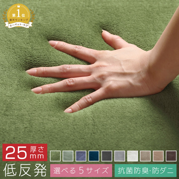 ラグ 厚手 低反発 もっちり ウレタン 200×250 3畳用 3畳 長方形 防ダニ 1畳 1.5畳 2畳 4.5畳 滑り止め付 洗えるラグ 遮音 春 夏 秋 冬 低反発ラグ マット ラグマット カーペット ラグカーペット 絨毯 センターラグ A712