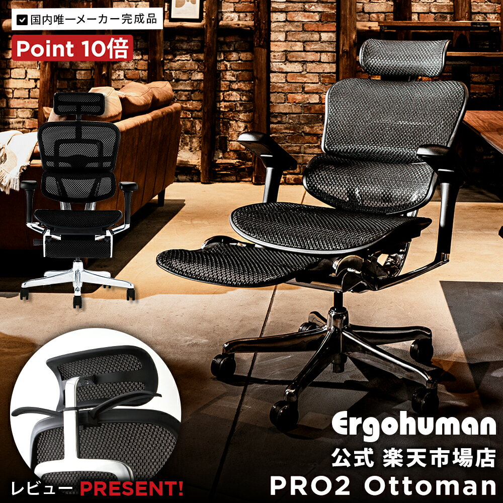 【2025年新型・公式店限定メーカー完成品】エルゴヒューマン プロ2 オットマン【 メーカー完成品・設置・梱包材処分無料・ポイント10倍】オットマン内蔵 / アルミフレーム/ヘッドレスト / 独立ランバーサポート / 高機能メッシュチェア / EHP2-LPL