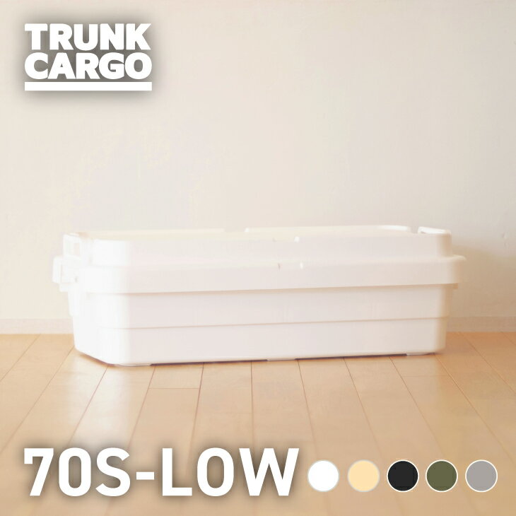 【廃番】【メーカー公式店】【レビューでプレゼント有り】RISU トランクカーゴ スタッキングタイプ TC-70S LOW アウトドア 収納ボックス キャンプ用品 大容量 新型 40L フタ付き キャンプ 収納ケース プラスチック浅型 丈夫 蓋付き コンテナボックス 屋外