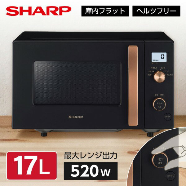 電子レンジ 17L シャープ SHARP RE-TS174-B ブラック系 黒 単機能レンジ フラット ヘルツフリー 一人暮らし