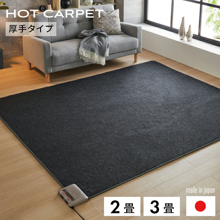 【 送料無料 】ホットカーペット 2畳 3畳 本体 厚手タイプ【 電気カーペット カーペット 厚手 国産 日本製 】
