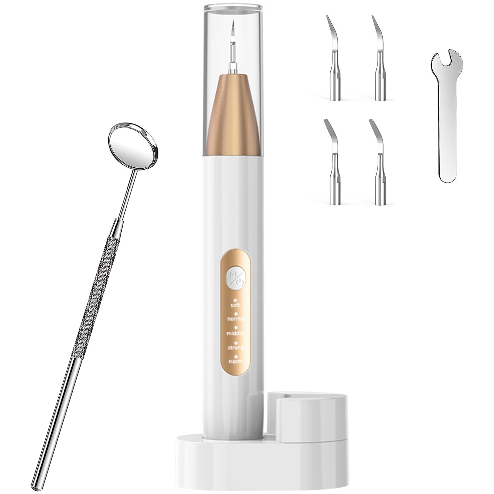 超音波歯クリーナー 歯間クリーナー 口腔洗浄器 USB 充電式 携帯用歯清潔器 5モード調節可能 LEDライト クリーニングキット 日本語取扱説明書付き