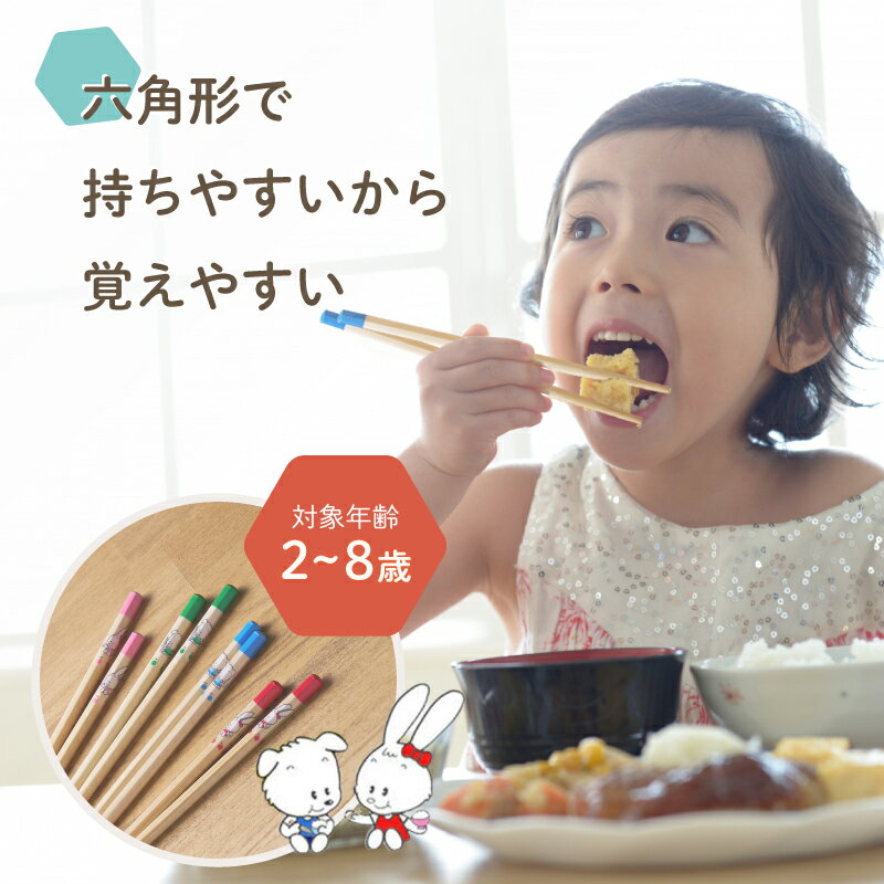六角知能箸■絵柄あり■ 持ちやすい 箸 六角箸 こども 子供 せいわ 正規品 日本製 子ども お箸 練習 トレーニング 食事 マナー 知育 入園 入学 準備 お弁当 給食 食洗機対応 滑り止め かわいい 持ちやすい キャラクター 男の子 女の子