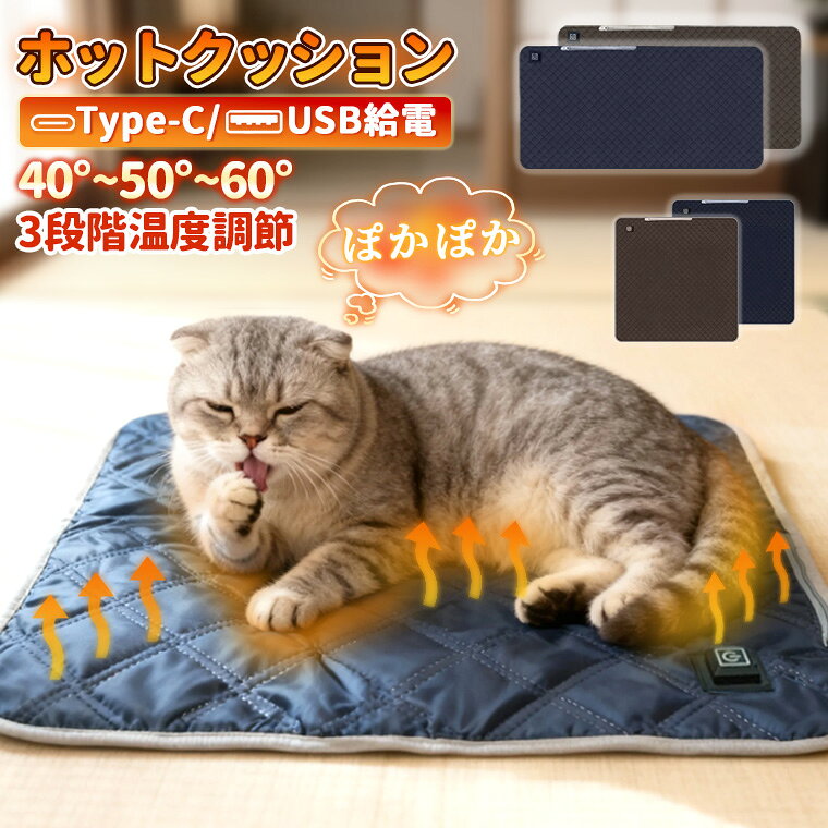 【秋冬在庫処分】★本日限定★先着50名10%OFF★ ホットカーペット 電気座布団 電気マット 電気マット 暖かい 座布団 多機能ホットマット 電気ホットマット USB電気マット 電気座布団 モバイル ホットクッション USB ミニ ホットマット 電気代節約 usb給電式 発熱マット