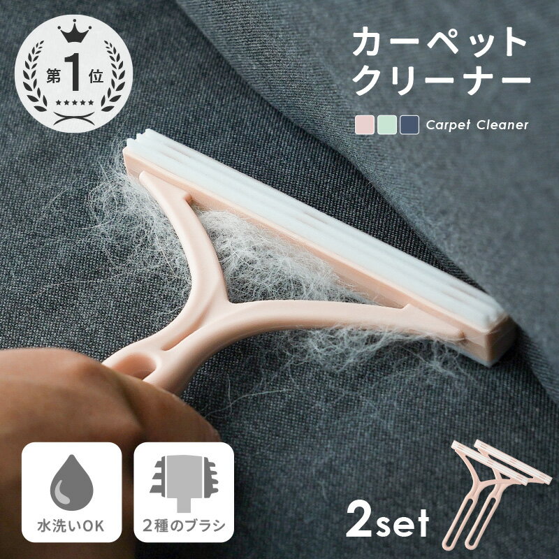【4/5限定全品対象最大20%OFFクーポン!先着順】【2本セット】 毛玉取り ブラシ ペット 毛 取り クリーナー ホコリ ブラシ 抜け毛 カーペット ソファ こたつ 毛玉取りブラシ 毛玉とり 猫の毛 犬の毛 カーペットクリーナー ペット 用品