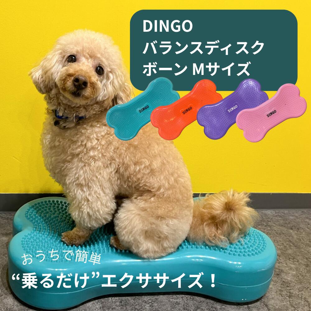 DINGO バランスディスク ボーン Mサイズ 犬 ペット ドッグ バランスボール ドーナツ バランスディスク 小型犬 中型犬 大型犬 体幹トレーニング アジリティ シニア 健康 筋トレ