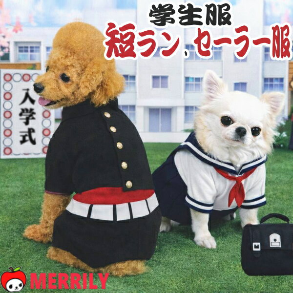 犬 セーラー服 短ラン 犬服 ドッグウェア コスプレ 短ラン セーラー服 学生服 学ラン なりきり 写真映え コスチューム 小型犬 中型犬 記念撮影 イベント 入学式風 卒業式風 春服 かわいい おもしろ 衣装 学校