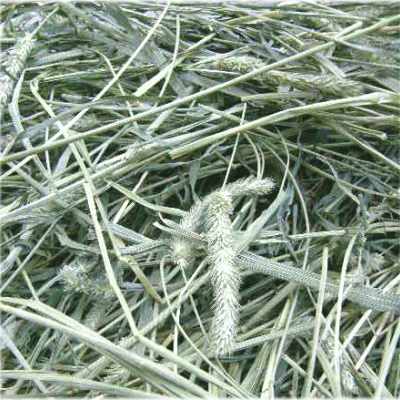 ウサギ 牧草 チモシー うさぎ 2025新刈り入荷 【定期購入】チモシー【送料無料】アメリカ 産 一番刈り チモシーシングルプレス 1kg x5袋 一番刈りウサギ エサ モルモット フード 兎　モルモット　牧草 格安 うさぎ 用品うさぎの牧草　牧草　楽天　市場　楽天　市場　牧草