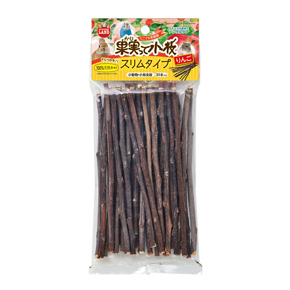 【4／5限定】当選確率2分の1！1等最大100％　マルカン　果実って小枝　スリムタイプ　りんご　30本　小動物　小鳥　かじり木