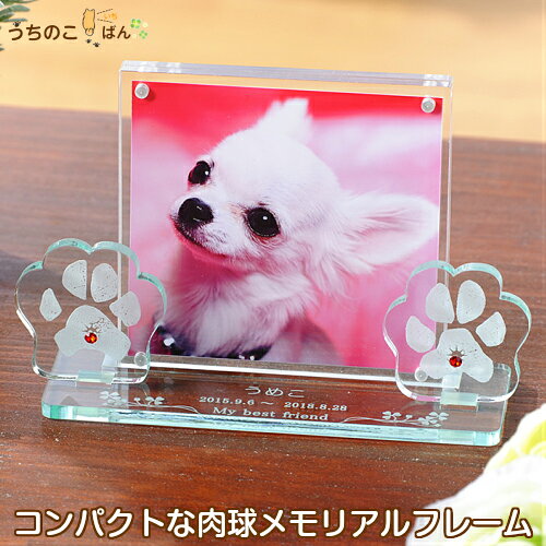 天使のオブジェ フォトフレーム■肉球 ペット メモリアルグッズ メモリアル フォトフレーム 写真立て ペット供養 お供え お悔み かわいい 命日 遺影 手元供養 仏具 仏壇 位牌 手形 足型 足形 犬グッズ 記念 メモリアル うちのこ記念日 にくきゅう アクリル ミニ仏具 写真