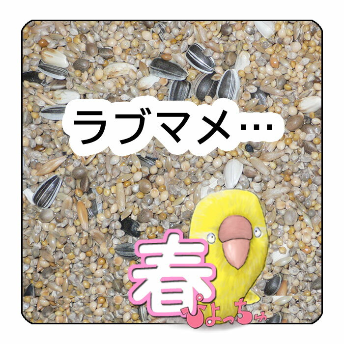 ぴよっちゅ　ラブバード・マメルリハ・中型インコ春用ブレンド：鳥　餌 インコ えさ