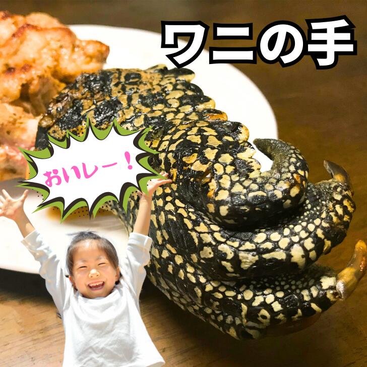 ワニの手 爪付き 選べる重量180g・250g・370g・500g・1kg・2kg 送料無料あり ★レビューキャンペーン実施中！ワニ肉 ワニ 冷凍 焼肉 鉄板焼 BBQ バーベキュー キャンプ パーティ お取り寄せ おうちごはん おつまみ お酒のあて 食材 オーストラリア ワニ手羽 ワニ足
