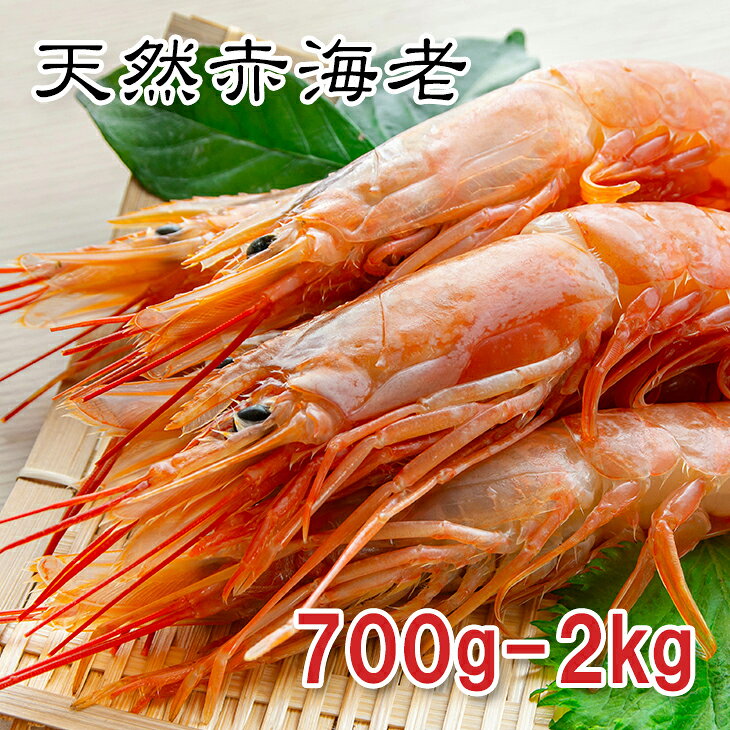 【楽天1位】天然赤海老 700g/2kg 刺身用 生食OK 大型サイズ 冷凍 赤エビ 生海老 生えび ガーリックシュリンプ パスタ BBQ 寿司ネタ あす楽対応【動画あり】送料無料★ バラ凍結 大容量 特大 大ぶり ストック食材 海鮮 食材 お取り寄せ 贈答用