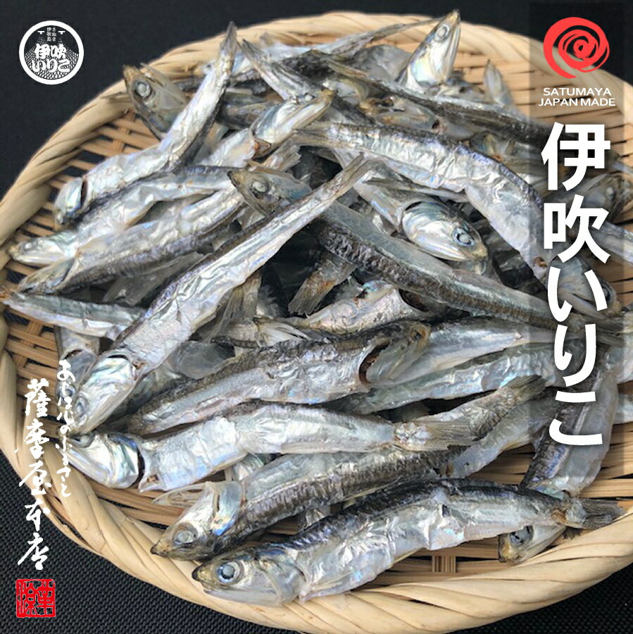 伊吹いりこ 500g 大羽〜中羽 香川県伊吹島産100% 煮干し にぼし 酸化防止剤不使用 無添加 地域団体商標登録 第5441187号 観音寺 銀付