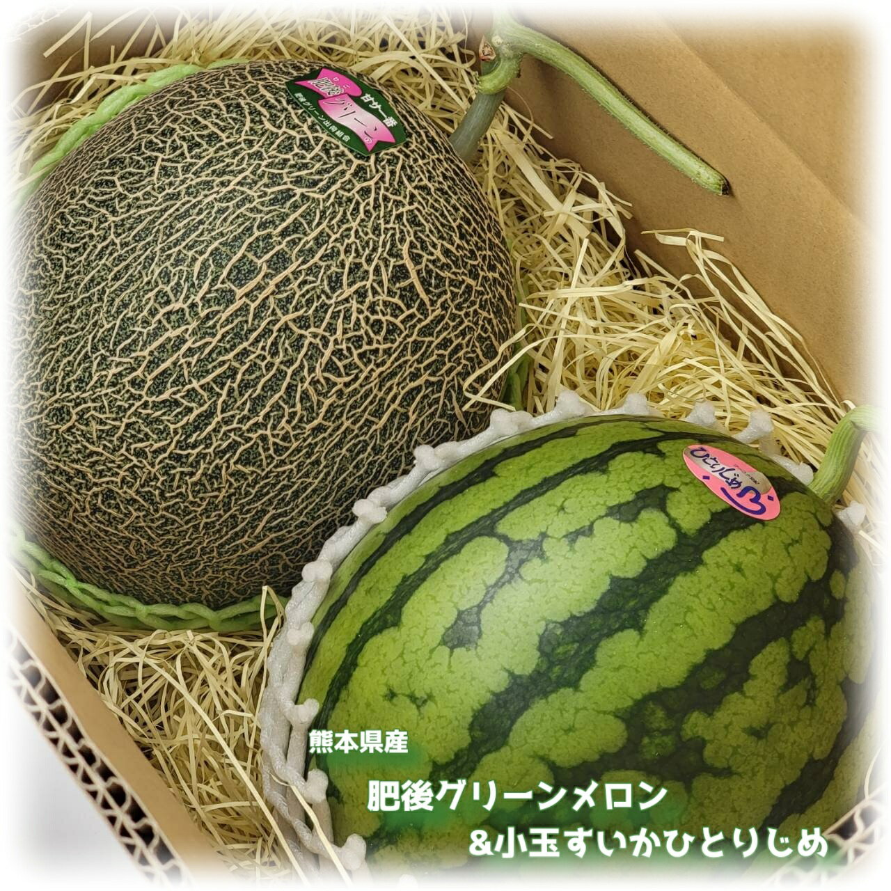 ご予約承り中【熊本県産　肥後グリーンメロン＆ひとりじめ　セット】小玉西瓜　すいか　贈り物　誕生日　贈答品　フルーツ詰め合わせ　果物詰め合わせ　夏ギフト　母の日　フルーツギフト　熊本すいか