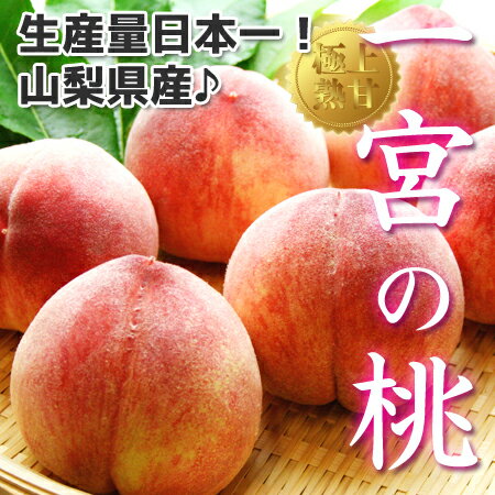 《美味しい一宮の 桃 》【 山梨県産 一宮の桃 約4kg (10個～12個)】送料無料 高級もも 詰め合わせ桃ギフト お中元 贈答品 産地直送 もも モモ ピーチ いちのみや 日川白鳳 浅間白桃 加納岩 白鳳 なつっこ 一宮白桃 一宮水蜜 他 (クール便限定) /お取り寄せグルメ