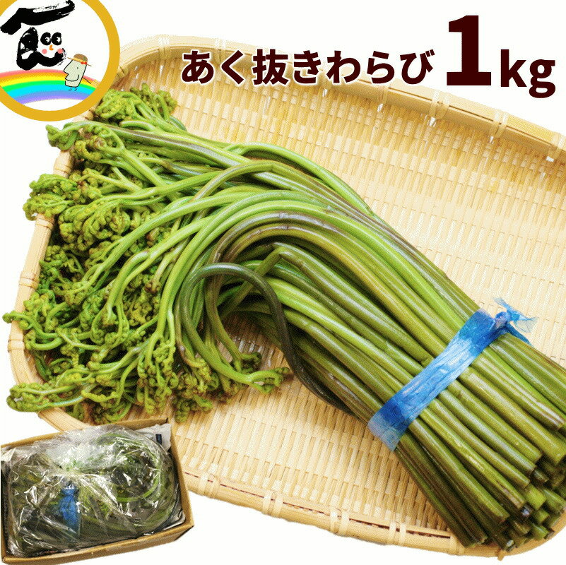 【セール】山菜 山形県産 あく抜き わらび 1kg 届いてすぐに食べられる 山菜 蕨 わらび 天然