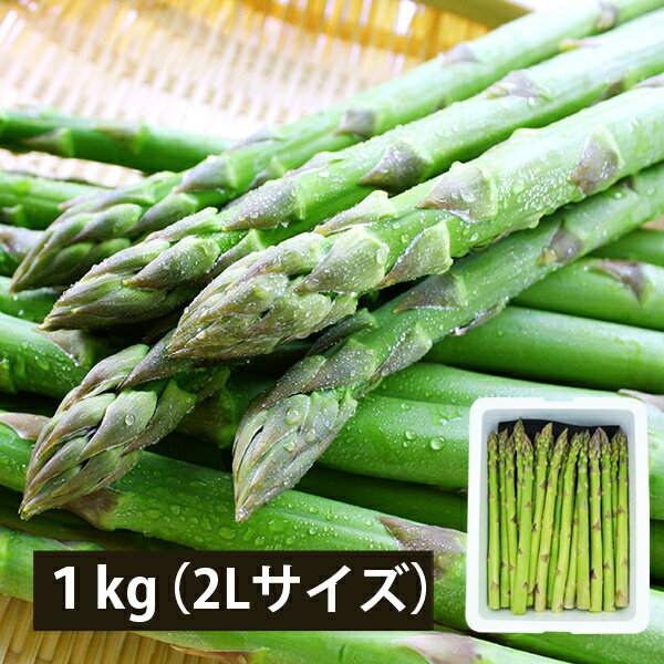 ＼4日20時〜ポイント2倍／ 【 予約 】 5月中旬頃より発送予定 極太銀山アスパラガス1kg 2Lサイズ 山形県尾花沢市産 グリーンアスパラ 虹の農場 朝採れ新鮮 産地直送 ギフト 贈り物 のし対応 野菜 春の味覚 旬 お取り寄せ 送料無料 柔らかい 極太アスパラ