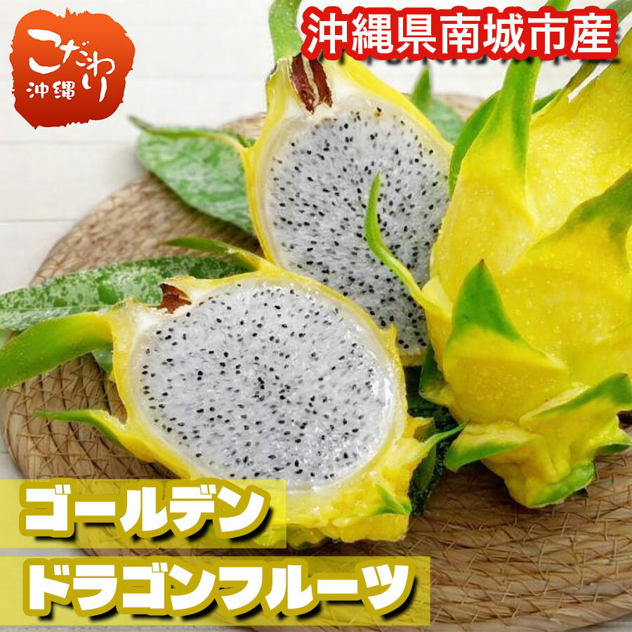 【送料無料】 南城市産ゴールデンドラゴンフルーツ 約1kg前後(2～3玉)【沖縄県産 国産 ドラゴンフルーツ ピタヤ 甘い 健康 ヘルシー 美容 体に良い 豊富な食物繊維 ダイエット 腸活 ビタミン ミネラル 高栄養 珍しい デザート 旬 果物 果実 沖縄 贈答品 ギフト】