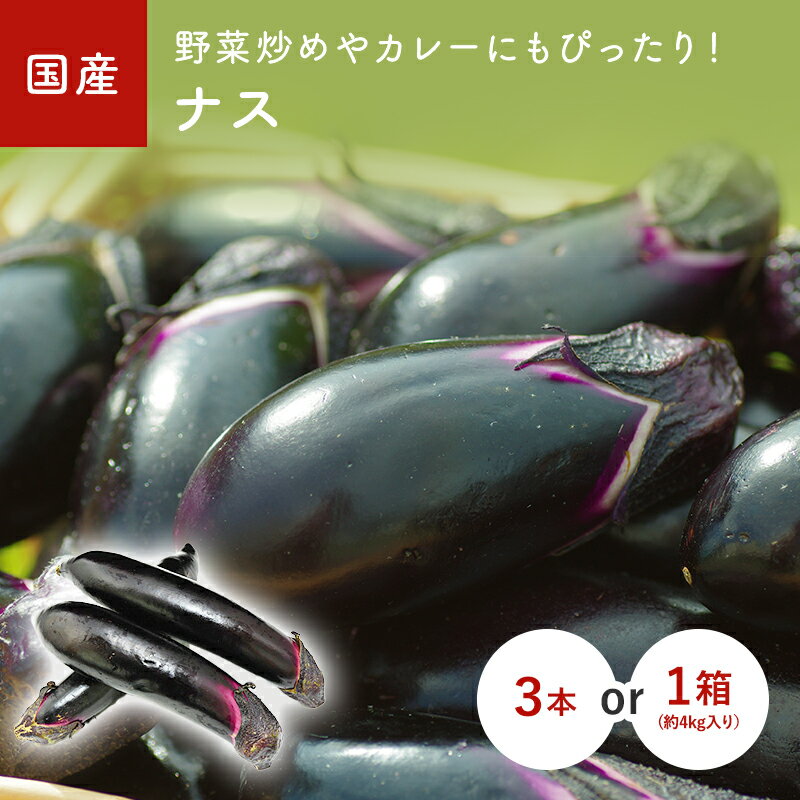 なすび（茄子）　3本　1箱(約4kg）　国産 福岡・熊本・九州産