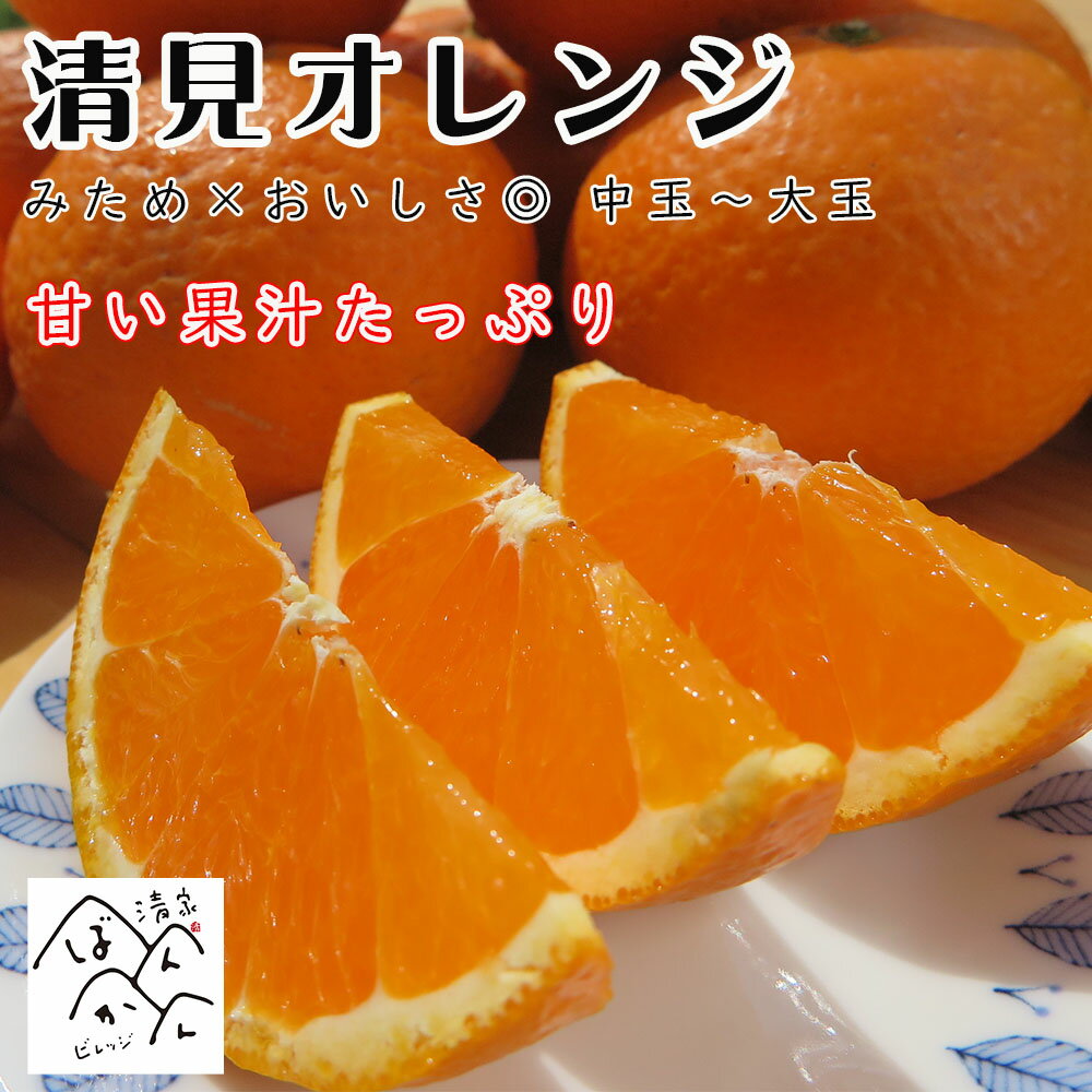 甘い果汁たっぷり 清見オレンジ みため×おいしさ◎ 3kg 5kg 10kg 中玉~大玉 わけあり 愛媛県産【送料無料】