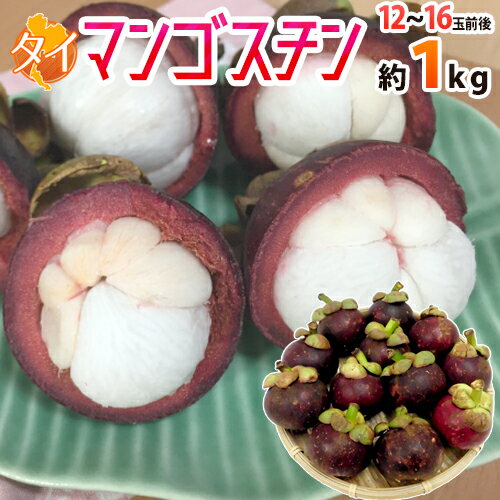 ”タイ産 マンゴスチン” M〜L 12〜16玉前後 約1kg【予約 4月以降】 送料無料