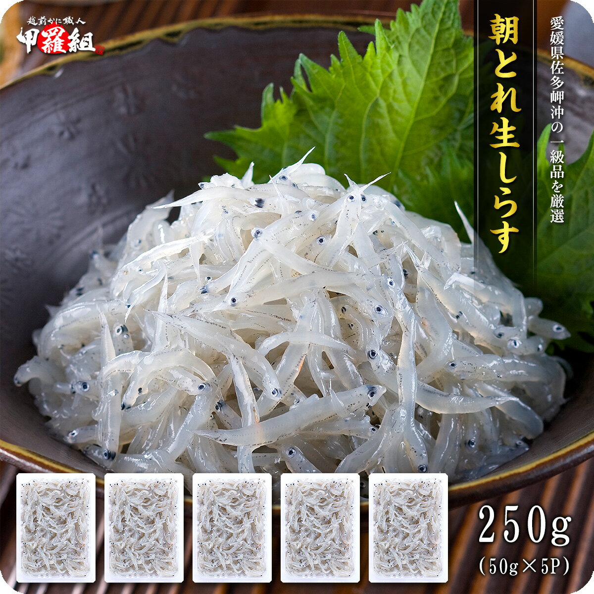 送料無料1,999円！愛媛県産 本場の朝どれ生しらす250g シラス 冷凍食品