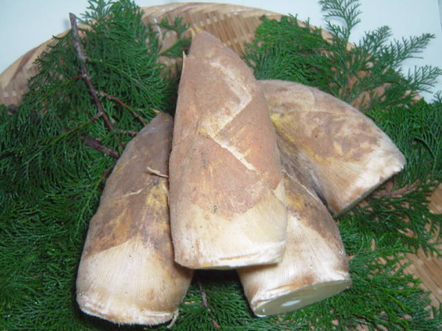 京都塚原・物集女産　特撰・朝掘り京竹の子（SSサイズ・1．5kg・5−6本入り・米ぬか・レシピリーフ付）