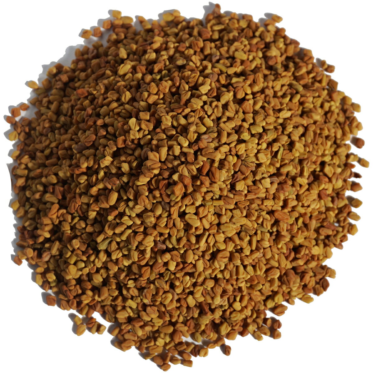 フェネグリーク シード 原形 アメ横 大津屋 スパイス ハーブ 業務用 フェヌグリーク fenugreek フェネグリーク ころは methi メティー メッチ フェンネグリーク メティ
