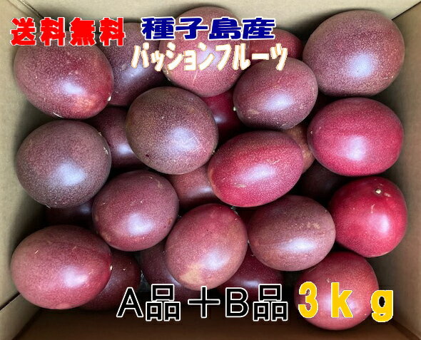 予約　パッションフルーツ M〜3L A品+B品混在3kgバラ詰め33玉前後入り有機肥料栽 送料無料【北海道・東北・沖縄別途必要】