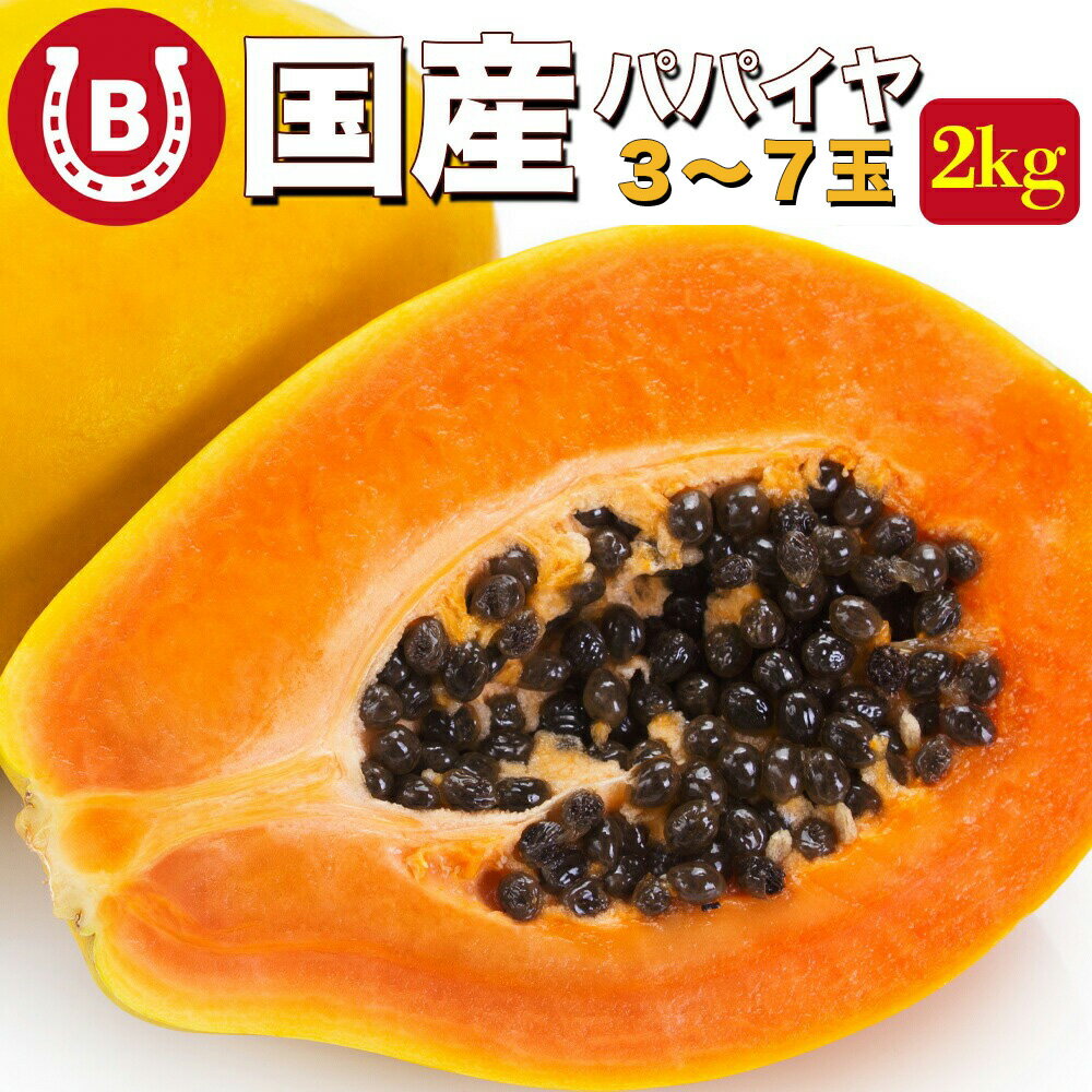 国産 パパイヤ 約2kg 3〜7玉 サンライズソロ とろける甘さ 国産 パパイヤ 大玉 国産パパイヤ パパイア トロピカルフルーツ フルーツ パパイヤ パパイア 果物 フルーツ 生鮮 野菜 送料無料 ※一部地域を除く