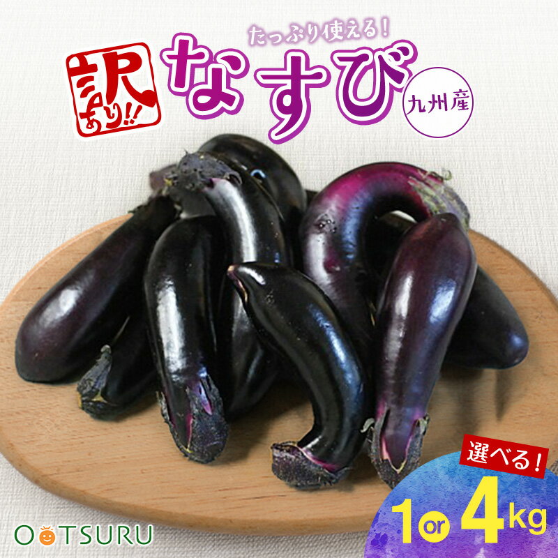 九州産 なすび（ナス・茄子）訳アリ（まがり・大小・すれ） 1kg / 4kg 選べる内容量＜九州・福岡・熊本産＞