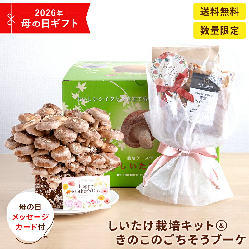 【5月7日から順次発送】【母の日限定】ごちそうブーケ×もりのしいたけ農園【栽培容器・レトルト食品・メッセージカード】付属品付｜しいたけ栽培キット きのこ栽培 栽培セット お母さん プレゼント 感謝 母の日プレゼント ギフト 花以外 母の日ギフト