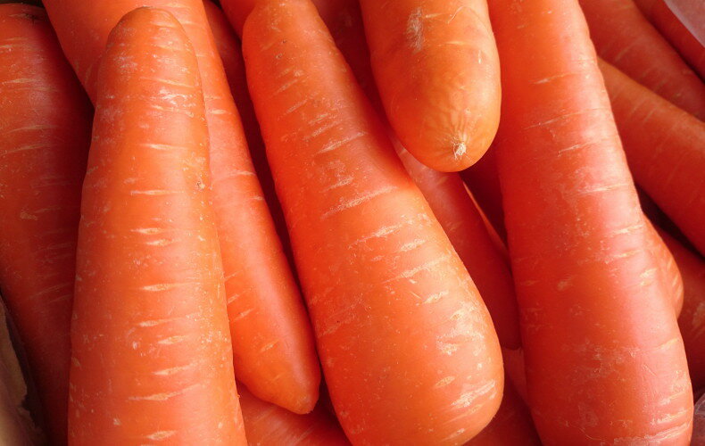 徳島県産他　西洋にんじん（2Lサイズ2本入り）約500g