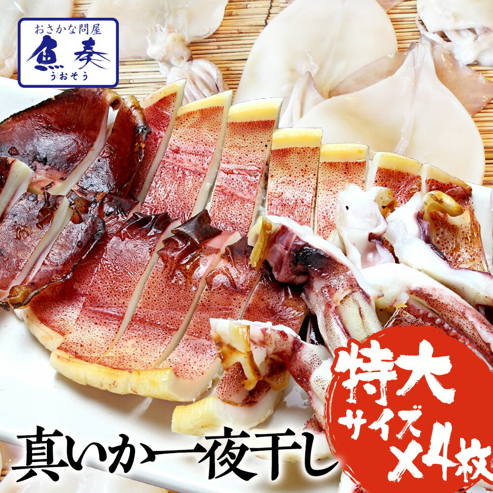 バーベキューセット イカ一夜干し 特大4枚(特大サイズ×4枚) 送料無料 真いか一夜干 烏賊 やわらか 居酒屋 大人気 最安値挑戦中 バーベキュー 海鮮 BBQ セット ごはん キャンプ 海鮮バーベキュー ギフト 2026