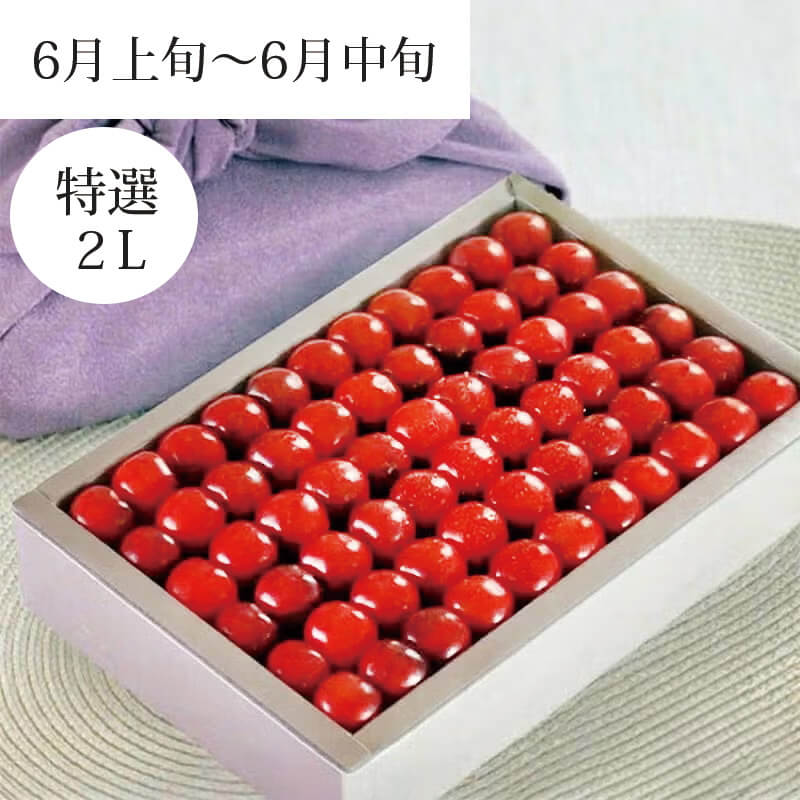 さくらんぼ 紅秀峰 特選 職人詰め 2L 1kg 6月上旬～6月中旬お届け ( 山形県産 さくらんぼ を産地直送 お中元 ギフト 初夏の贈答用に高級フルーツ 手詰め 清川屋のサクランボ )