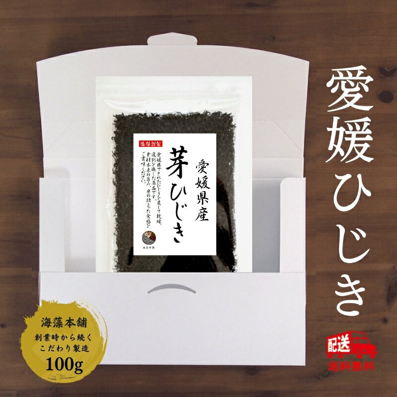 ひじき 芽ひじき 愛媛県産 100g 送料無料 (追跡可能メール便) 国産 ヒジキ 天然ひじき