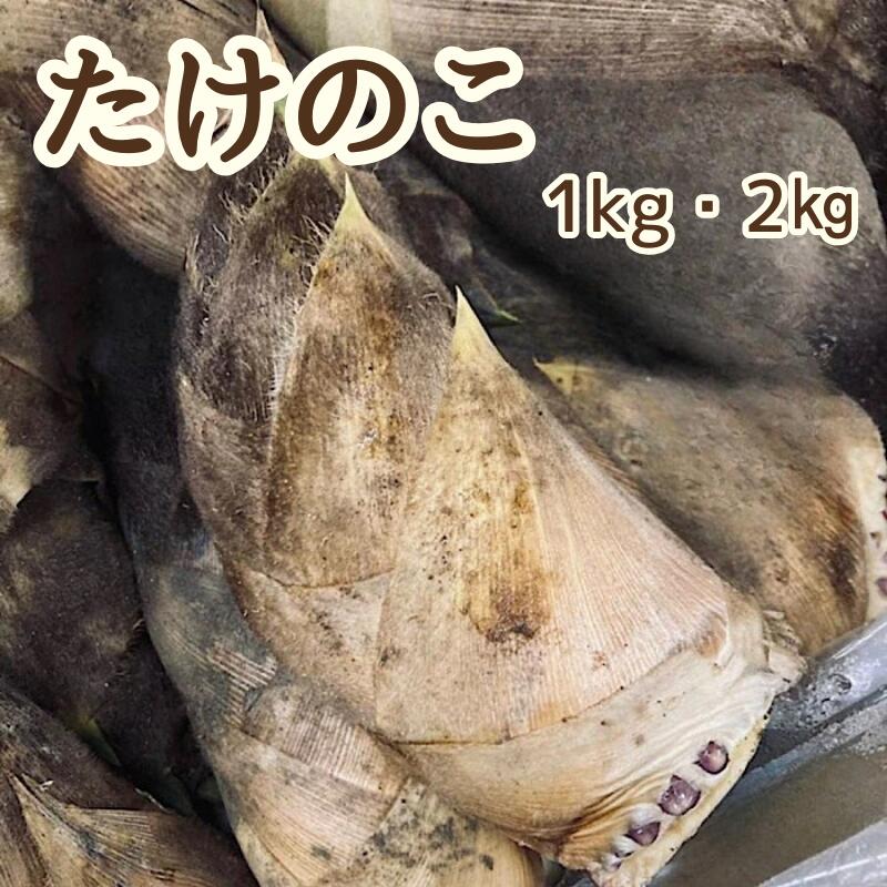 【静岡県産】たけのこ1キロ・2キロ 春 旬 食材 送料無料 筍 タケノコ 人気 お取り寄せ 旬の筍 春筍 たけのこごはん 筍ご飯 筑前煮 天ぷら 煮物 青椒肉絲 春の味覚 旬の野菜 新鮮 国産 生たけのこ 国産春野菜 山菜 山の幸 春の山菜 人気食材 春限定 春グルメ