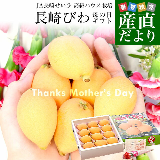 【母の日ギフト】 長崎県より産地直送 JA長崎せいひ 高級ハウス栽培 長崎びわ 500g化粧箱 3LからLサイズ (8玉から12玉) 送料無料 母の日びわ 長崎ビワ 茂木びわ