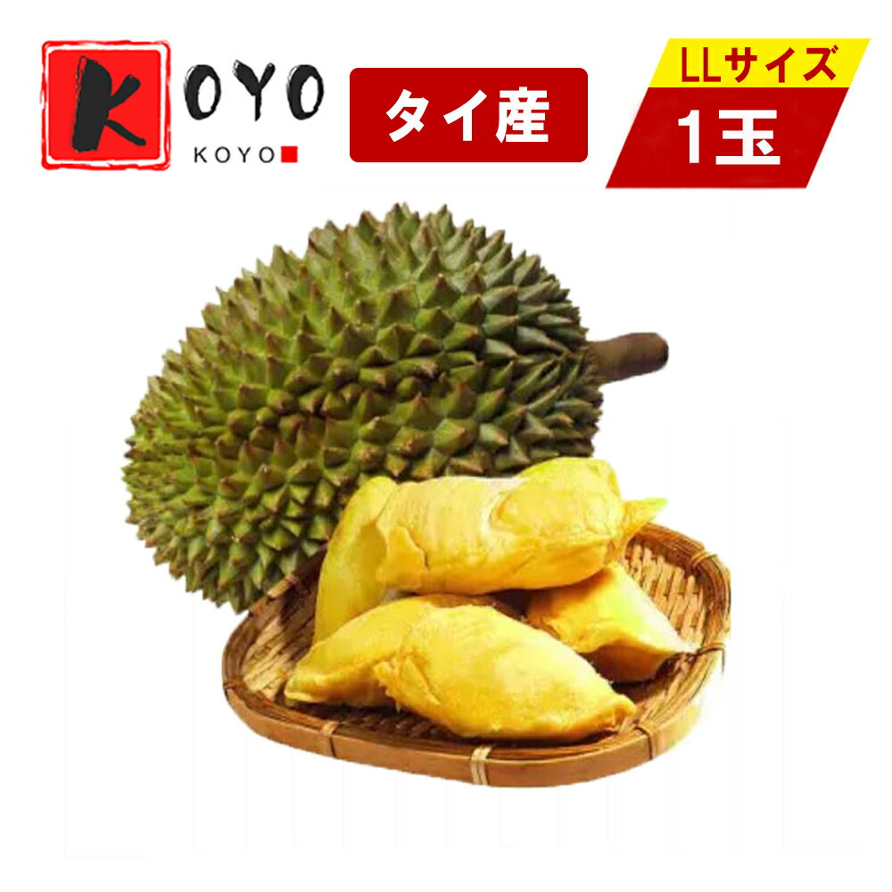 タイ産 ドリアン 生鮮 フレッシュ フルーツ 榴蓮 果物の王様LLサイズ 2.2kg〜2.9kg前後 1玉