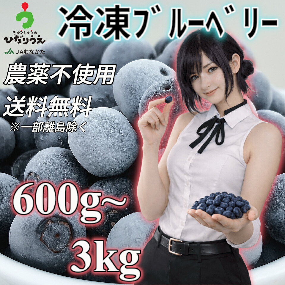急速冷凍！農薬不使用【国産】【ブルーベリー】600g～3kg（600g×1~5袋）【送料無料】【 果物/フルーツ/ジャム/ジュース/スムージー/有機栽培/フラペチーノ/福岡県産/自然/フローズン/藍苺/blueberry/無農薬/オーガニック/organic/ヨーグルト/真空パック】